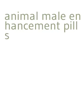 animal male enhancement pills