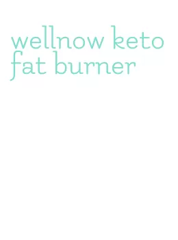 wellnow keto fat burner