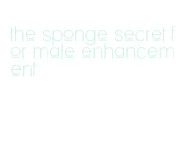 the sponge secret for male enhancement