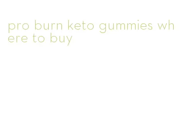 pro burn keto gummies where to buy
