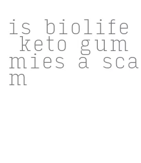 is biolife keto gummies a scam