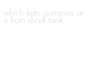 which keto gummies are from shark tank