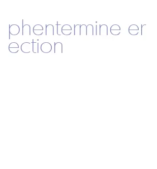 phentermine erection