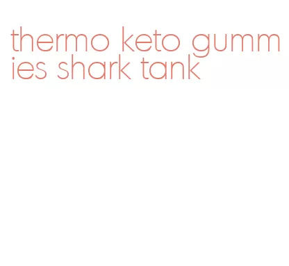 thermo keto gummies shark tank