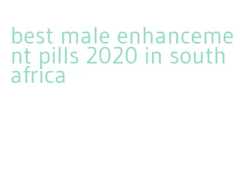 best male enhancement pills 2020 in south africa