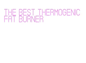 the best thermogenic fat burner