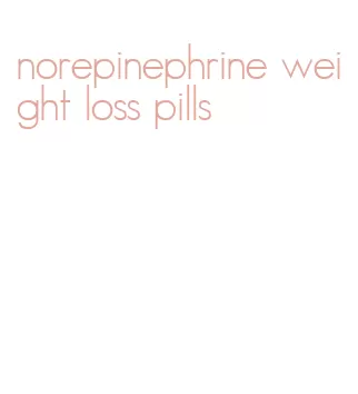 norepinephrine weight loss pills