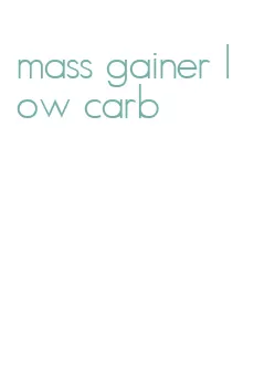 mass gainer low carb