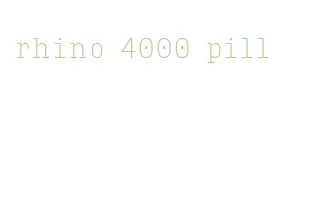rhino 4000 pill