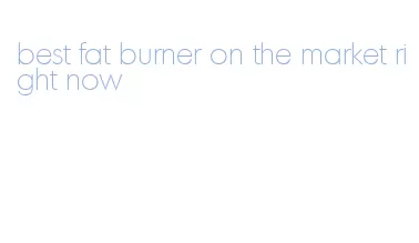 best fat burner on the market right now