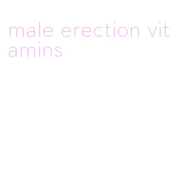 male erection vitamins