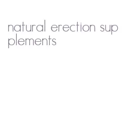 natural erection supplements