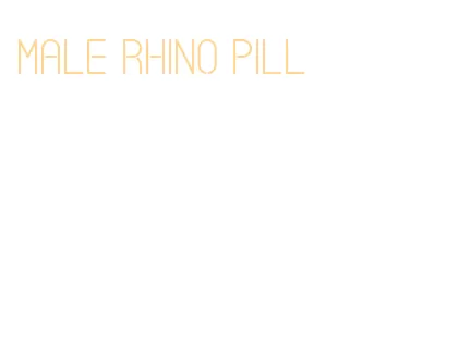 male rhino pill