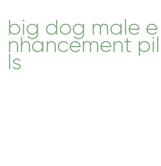 big dog male enhancement pills