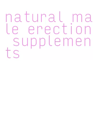 natural male erection supplements