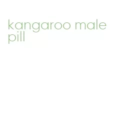 kangaroo male pill