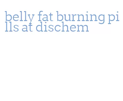 belly fat burning pills at dischem