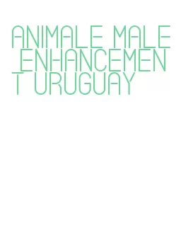 animale male enhancement uruguay