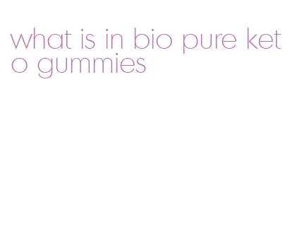 what is in bio pure keto gummies