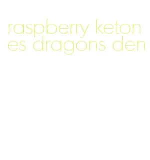 raspberry ketones dragons den