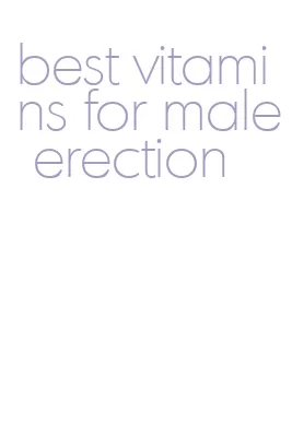 best vitamins for male erection
