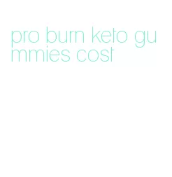 pro burn keto gummies cost