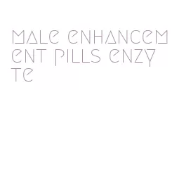 male enhancement pills enzyte