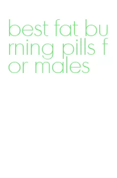 best fat burning pills for males