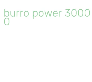 burro power 30000