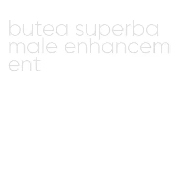 butea superba male enhancement