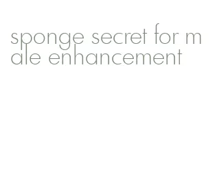 sponge secret for male enhancement