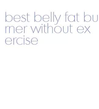 best belly fat burner without exercise
