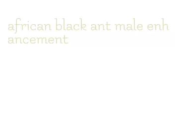 african black ant male enhancement