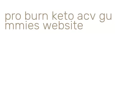 pro burn keto acv gummies website