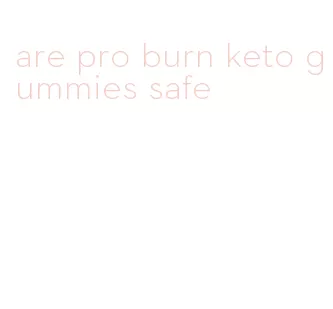 are pro burn keto gummies safe