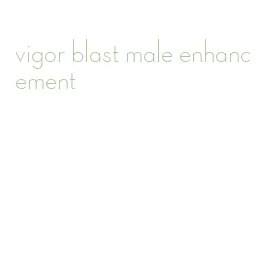 vigor blast male enhancement