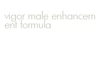 vigor male enhancement formula