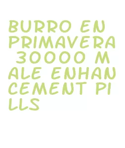burro en primavera 30000 male enhancement pills