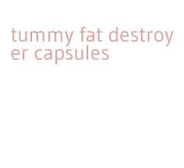 tummy fat destroyer capsules