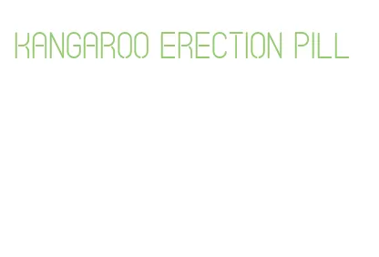 kangaroo erection pill