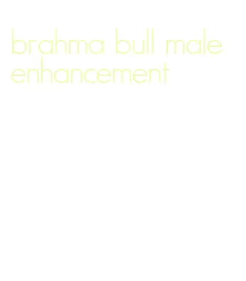 brahma bull male enhancement