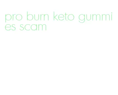 pro burn keto gummies scam