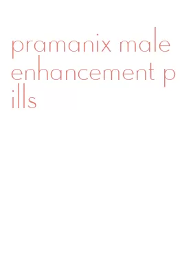 pramanix male enhancement pills