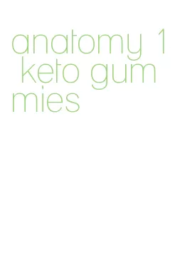 anatomy 1 keto gummies